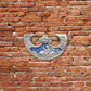 Oscillum