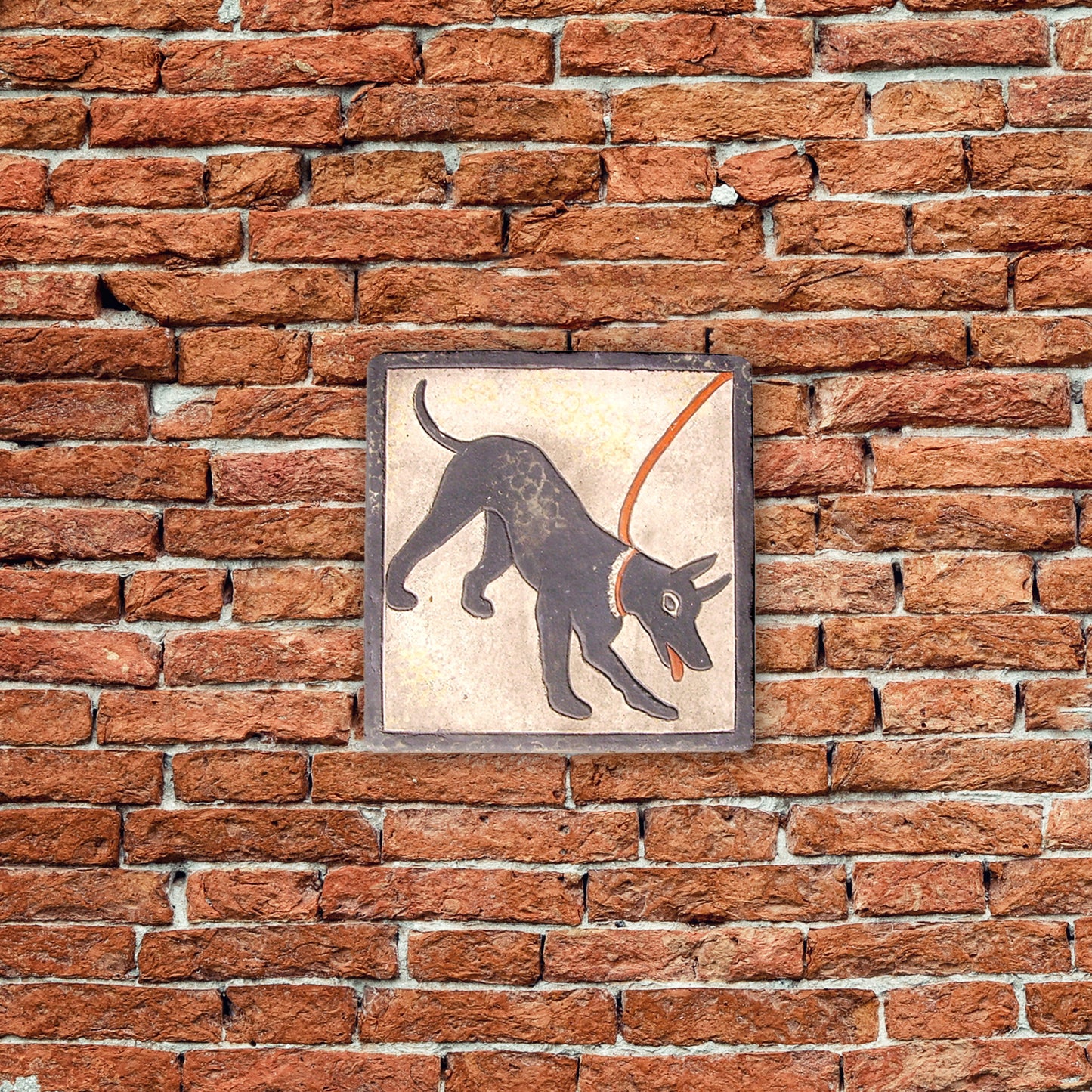 Cave Canem
